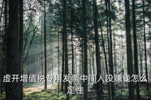 虛開(kāi)增值稅專用發(fā)票中間人沒(méi)賺錢怎么定性