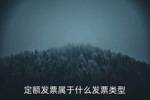 定額發(fā)票什么，河南省地稅定額發(fā)票怎么查詢