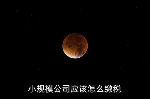 小規(guī)模公司按什么交稅嗎，一個小規(guī)模納稅公司國稅和地稅應(yīng)該都分別交什么稅