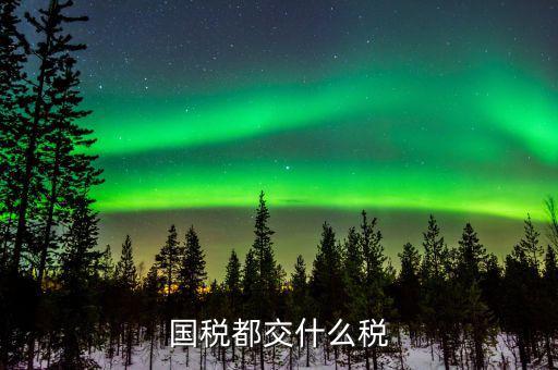 國稅稅費是什么，國稅都交什么稅