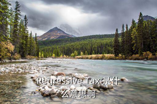 什么是稅收穿透，passthrough taxation是什么意思是直接繳稅嘛
