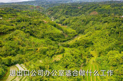 會(huì)做進(jìn)出口公司審批備案的找什么工作，進(jìn)出口企業(yè)備案怎么弄找哪個(gè)部門