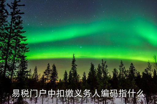 扣繳義務(wù)人識(shí)別碼是什么，易稅門戶中扣繳義務(wù)人編碼指什么