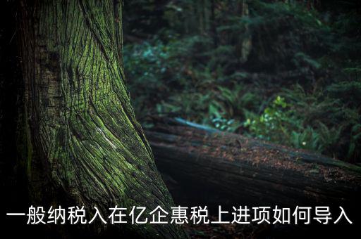 易企惠稅是什么軟件，我們公司就一個百旺金賦的稅控盤和億企惠稅的網(wǎng)上申報系統(tǒng)每月怎么