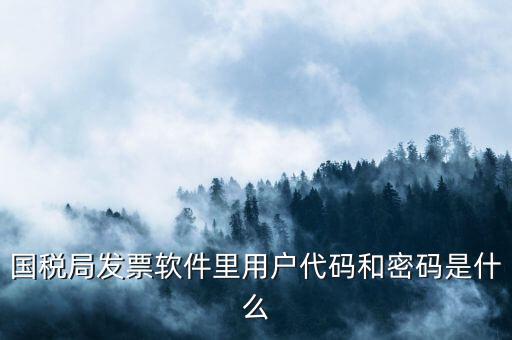 網(wǎng)上認證發(fā)票平臺密碼是什么樣的，國稅局發(fā)票軟件里用戶代碼和密碼是什么