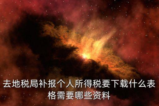 去地稅局補(bǔ)報(bào)個人所得稅要下載什么表格需要哪些資料