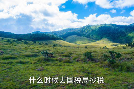 什么時候抄稅報稅，什么時候去國稅局抄稅