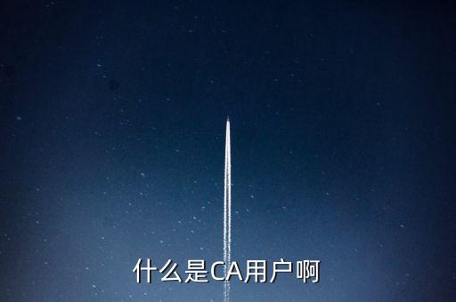 稅務(wù)總局ca系統(tǒng)是什么意思，Ca是什么