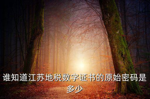 江蘇地稅登錄密碼是什么，江蘇地稅開票密碼是多少