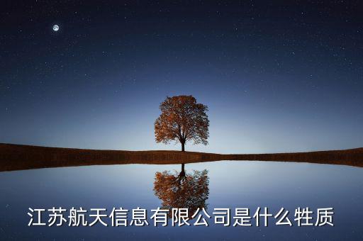 江蘇航天信息有限公司是什么牲質(zhì)