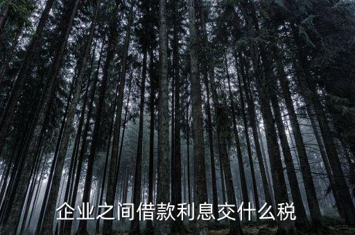 公司借款涉及到什么稅，借款要交什么稅