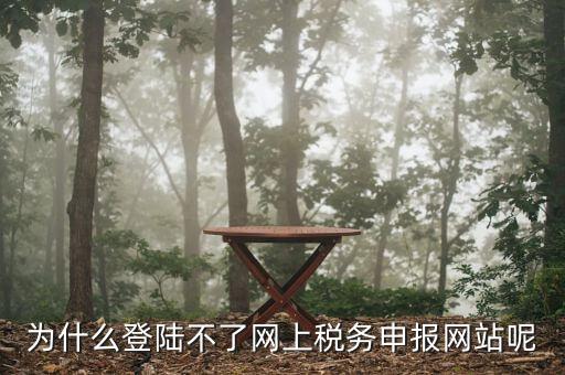 申報個稅登錄不上去是什么原因，為什么我的個人所得稅總是登不上去
