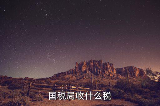 南寧國稅局收什么的稅，請教南寧國稅納稅具體多少以1000元收入為例