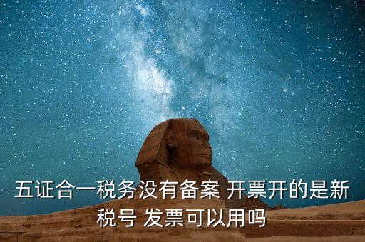 新稅號(hào)用到什么，新稅號(hào)開的發(fā)票與老稅號(hào)開具的發(fā)票有什么不同