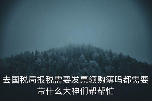 去國稅局報稅需要發(fā)票領購簿嗎都需要帶什么大神們幫幫忙