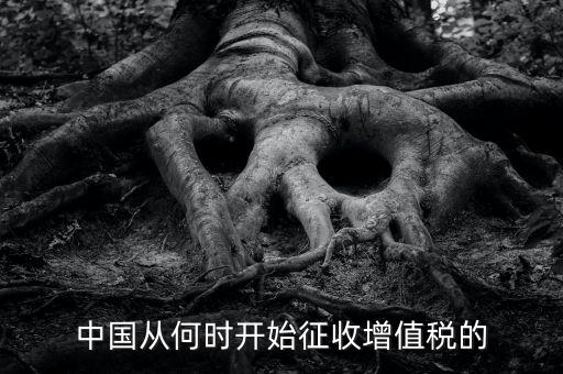 什么時候征收增值稅，批發(fā)零售業(yè)增值稅征收率什么時間開始為3