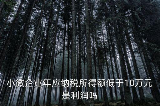 小微企業(yè)年應(yīng)納稅所得額低于10萬元是利潤(rùn)嗎