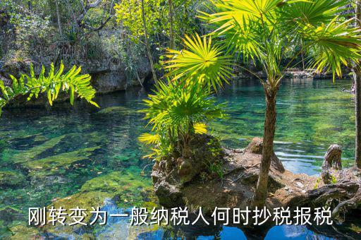 什么時候抄報稅，什么時候去國稅局抄稅