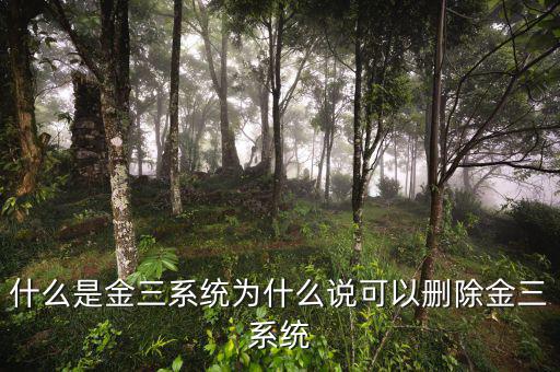 國稅金三系統(tǒng)是什么，什么是金三系統(tǒng)為什么說可以刪除金三系統(tǒng)