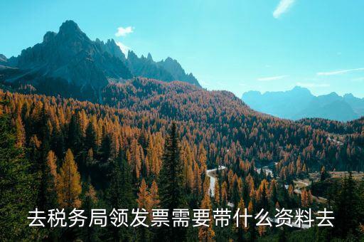 領(lǐng)定額發(fā)票帶什么，去稅務(wù)局領(lǐng)發(fā)票需要帶什么資料去