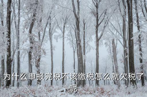 為什么國稅欠稅不催繳，因稅務(wù)機關(guān)原因未能及時繳納稅款是否屬于欠稅