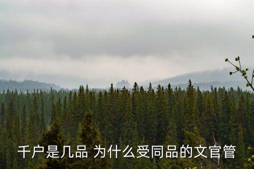 什么千戶集團，千戶是什么意思