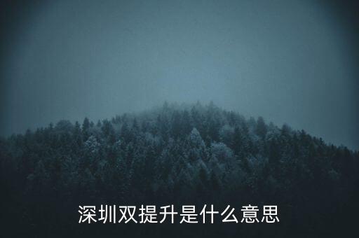兩手抓兩提升是什么意思，中央提出的兩手抓是什么