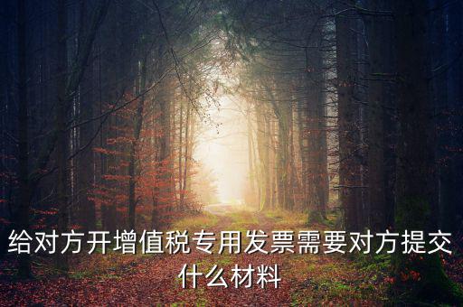 開專票要什么資料，加油卡開增值稅專用發(fā)票需要什么資料