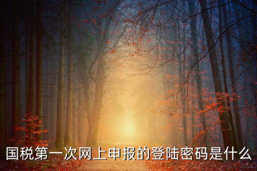 網(wǎng)上稅稅通密碼是什么，國稅第一次網(wǎng)上申報的登陸密碼是什么