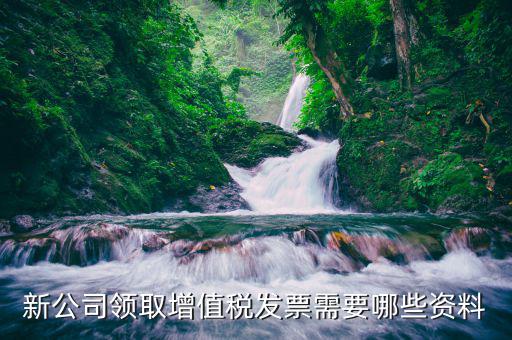 領(lǐng)發(fā)票需要什么，去稅務(wù)局領(lǐng)發(fā)票需要帶什么資料去