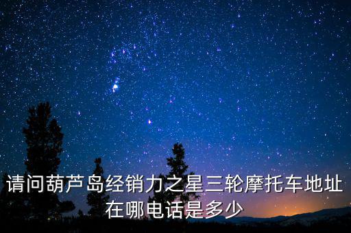請(qǐng)問(wèn)葫蘆島經(jīng)銷(xiāo)力之星三輪摩托車(chē)地址在哪電話是多少