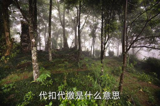 稅務(wù)代收什么意思，代扣代繳是什么意思