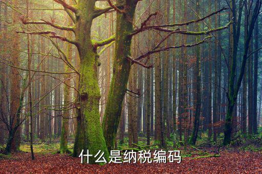 什么是納稅登記編碼，什么是納稅編碼