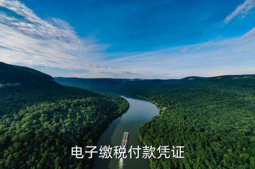 電子繳費憑證是什么，電子繳稅付款憑證