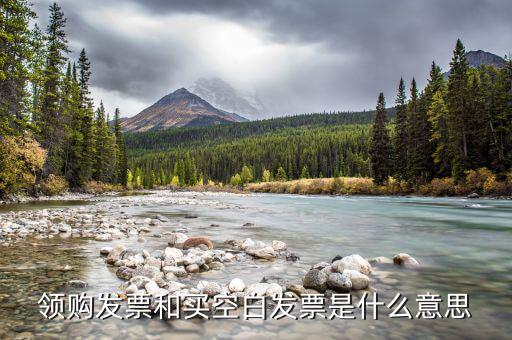 領(lǐng)取空白發(fā)票需要什么用，領(lǐng)用增值稅發(fā)票的時候內(nèi)開的空白發(fā)票要帶嗎