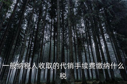 代理服務(wù)費(fèi)交什么稅，一般納稅人收取的代銷(xiāo)手續(xù)費(fèi)繳納什么稅