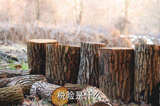 融稅融保險(xiǎn)是什么意思，稅險(xiǎn)是什么