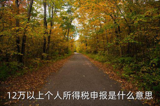 申報(bào)個(gè)稅什么意思，個(gè)稅明細(xì)申報(bào)是指什么