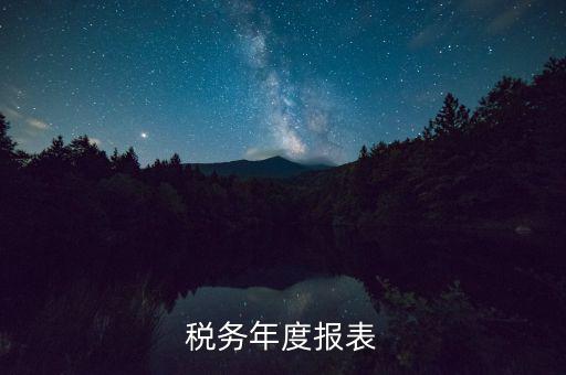 稅務年度報表