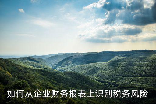 稅務(wù)風(fēng)險(xiǎn)核查是什么意思，虛開增值稅專用發(fā)票核查 什么意思