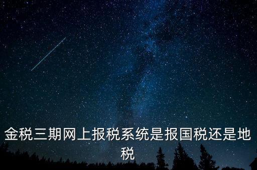 用金稅三期軟件報什么稅，金稅三期網(wǎng)上報稅系統(tǒng)是報國稅還是地稅