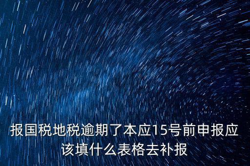 補錄國地稅信息都錄什么，報國稅地稅逾期了本應(yīng)15號前申報應(yīng)該填什么表格去補報