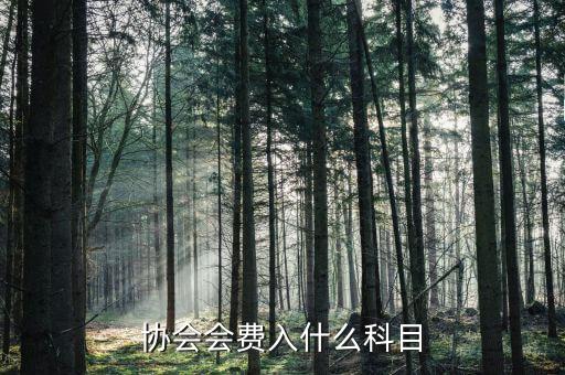 行業(yè)協(xié)會會費開什么票，交行業(yè)協(xié)會會費應(yīng)入哪個科目