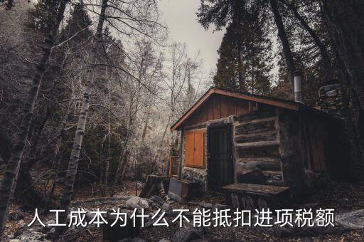 為什么不能抵扣進(jìn)項稅，人工成本為什么不能抵扣進(jìn)項稅額