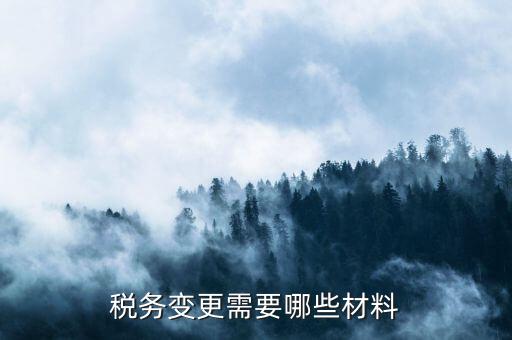 變更辦稅員要帶什么，財務負責人和辦稅員的變更需要辦理哪些手續(xù)
