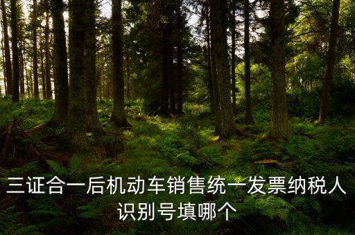 統(tǒng)一納稅識(shí)別號(hào)是什么，三證合一后機(jī)動(dòng)車(chē)銷(xiāo)售統(tǒng)一發(fā)票納稅人識(shí)別號(hào)填哪個(gè)