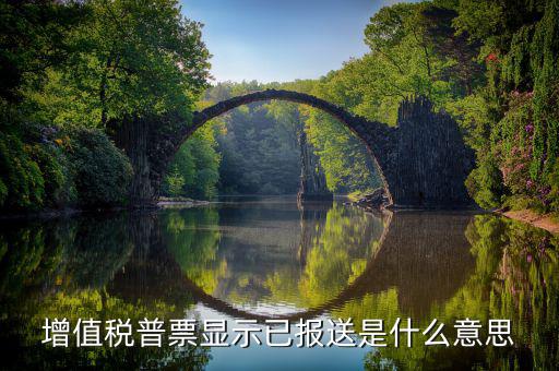 什么是報(bào)送報(bào)告，什么是報(bào)送審計(jì)