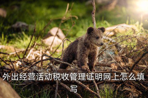 外管證編號(hào)是什么，外出經(jīng)營活動(dòng)稅收管理證明網(wǎng)上怎么填寫