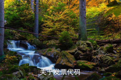 關于發(fā)票代碼