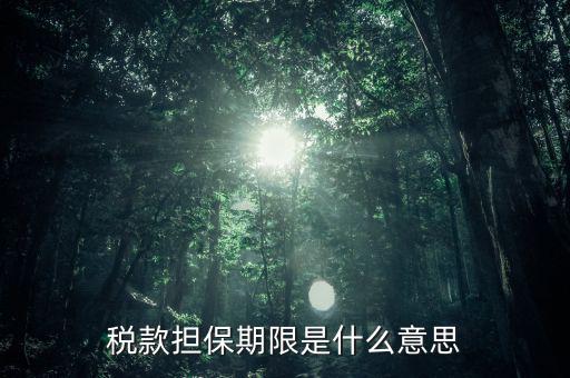 納稅擔(dān)保人什么意思，稅款擔(dān)保期限是什么意思